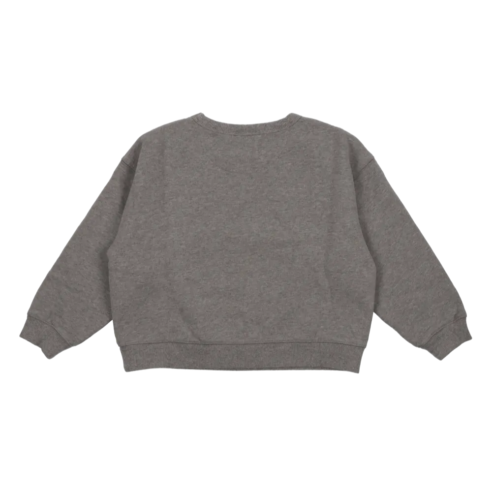 Apolo TNS Logo Sweatshirt (Grey Melange)